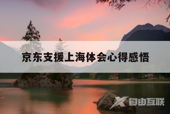 京东支援上海体会心得感悟(京东支援上海体会心得感悟怎么写)