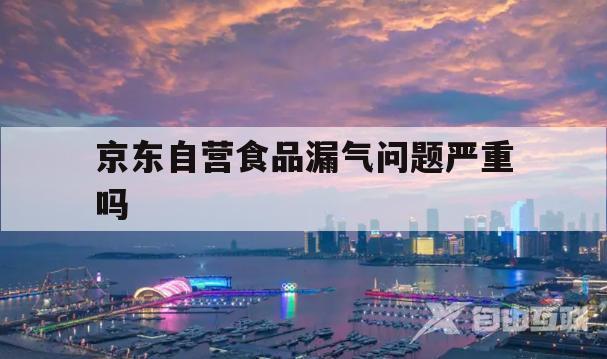 京东自营食品漏气问题严重吗(京东自营食品漏气问题严重吗怎么赔偿)