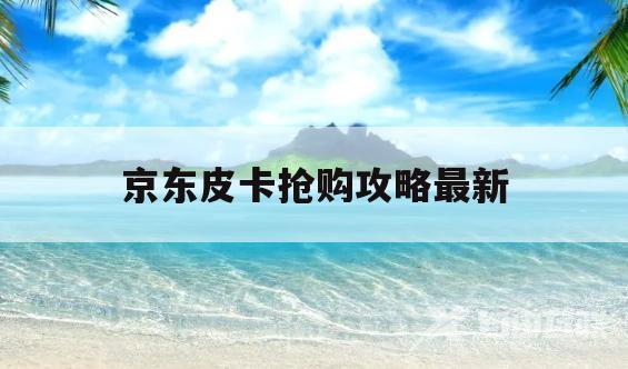 京东皮卡抢购攻略最新(京东皮卡抢购攻略最新版)