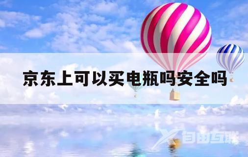 京东上可以买电瓶吗安全吗(京东上可以买电瓶吗安全吗是真的吗)