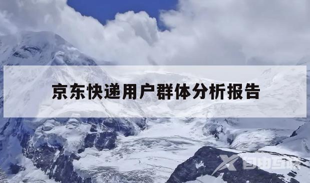 京东快递用户群体分析报告(京东快递用户群体分析报告模板)