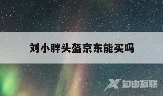 刘小胖头盔京东能买吗(刘小胖头盔京东能买吗是真的吗)