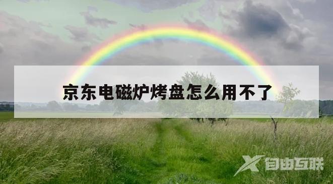 京东电磁炉烤盘怎么用不了(京东电磁炉烤盘怎么用不了了)