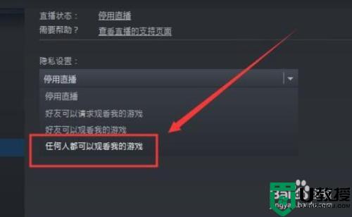 steam直播怎么开_steam怎么开启直播