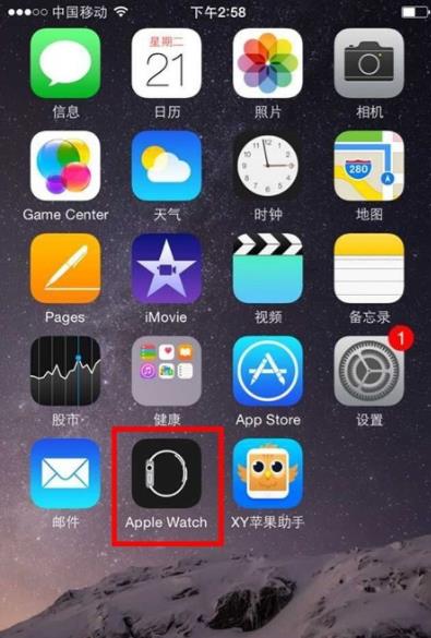 applewatch强制重置