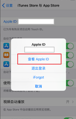 apple store英文(2)