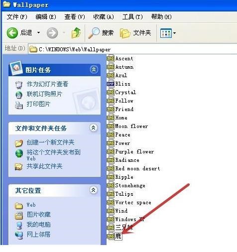 教您xp win7 win10系统桌面背景在哪个文件夹(6)