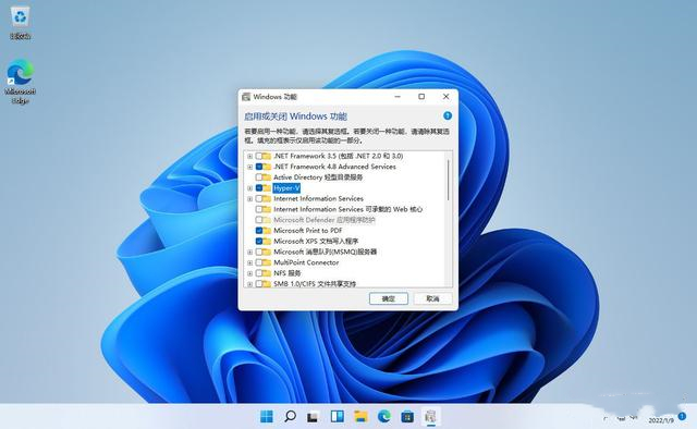 win11怎么安装谷歌商店 win11运行Google Play方法