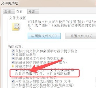 电脑怎么查看隐藏文件(4)