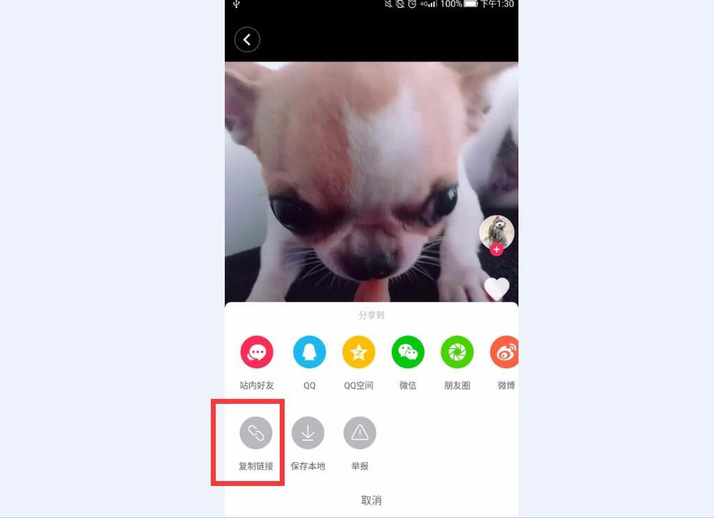 抖音保存本地变为复制链接(6)