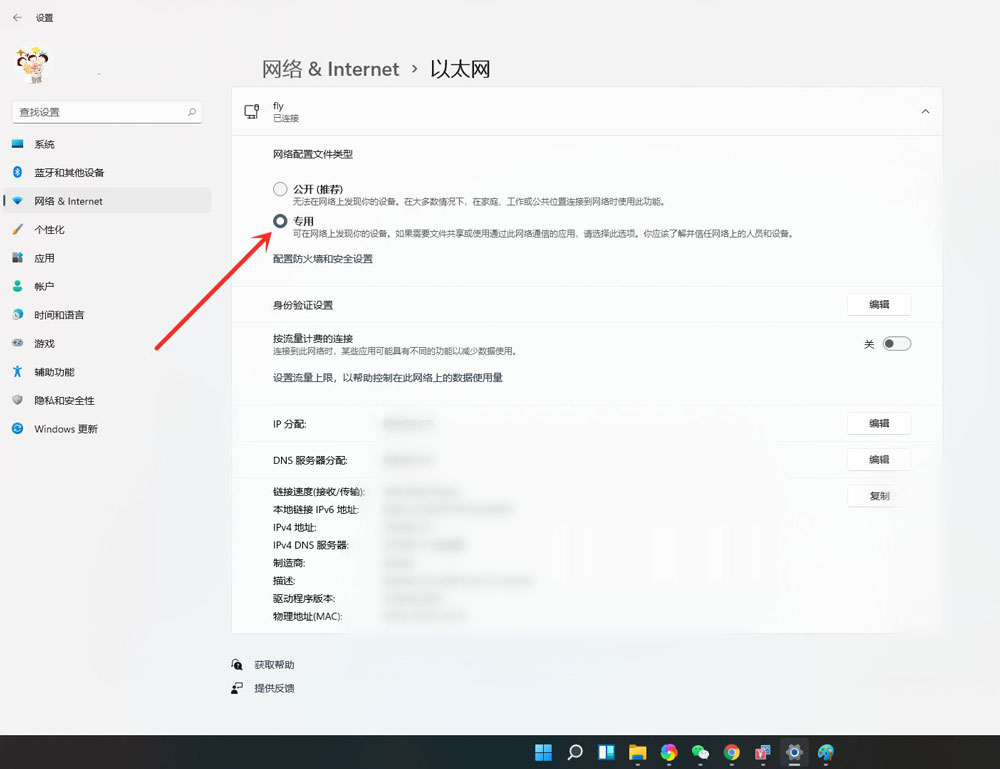 windows11公用网络怎么换成专用网络(3)