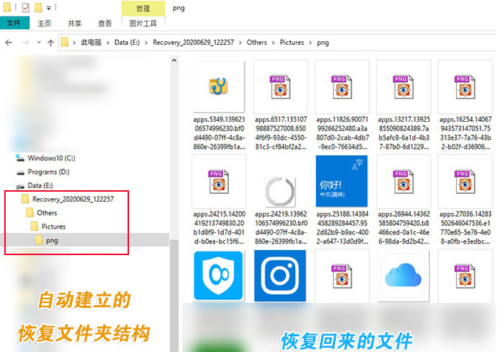 微软官方免费恢复数据工具Windows File Recovery下载使用教程