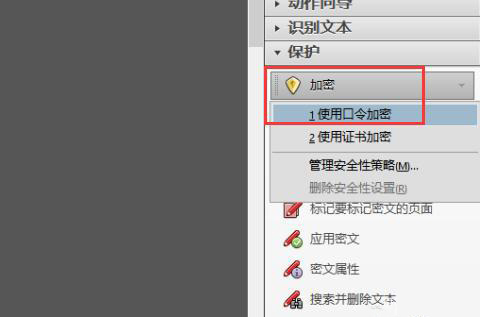 pdf如何加密码保护(2)