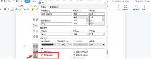 word文档删除线怎么变红(2)