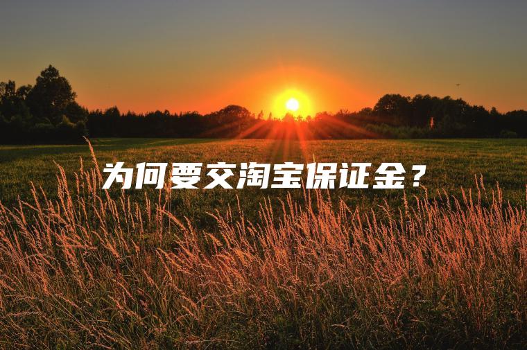 为何要交淘宝保证金？