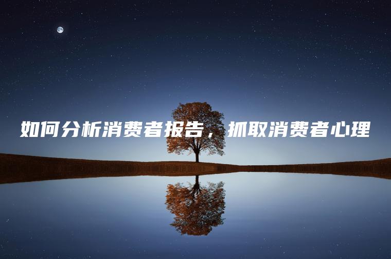 如何分析消费者报告，抓取消费者心理