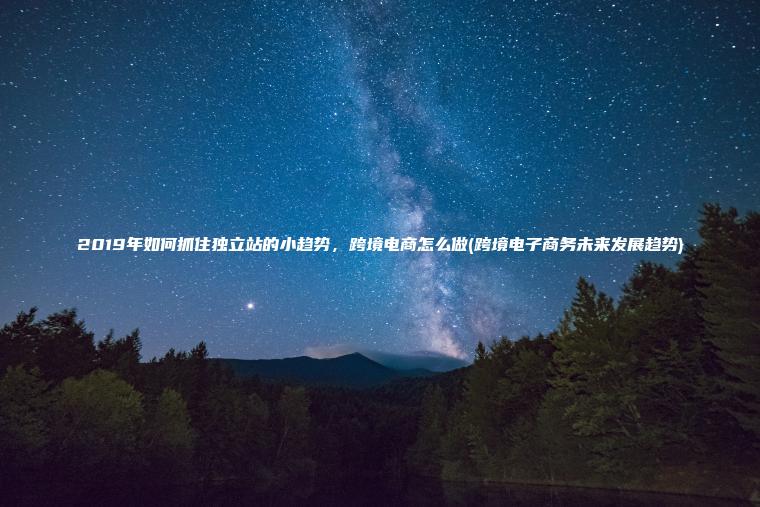 2019年如何抓住独立站的小趋势，跨境电商怎么做(跨境电子商务未来发展趋势)