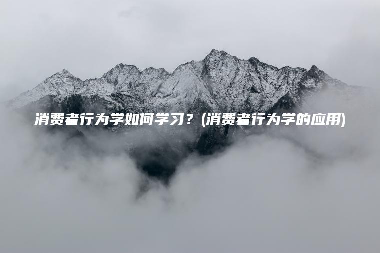 消费者行为学如何学习？(消费者行为学的应用)