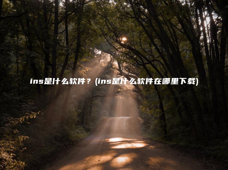 ins是什么软件？(ins是什么软件在哪里下载)