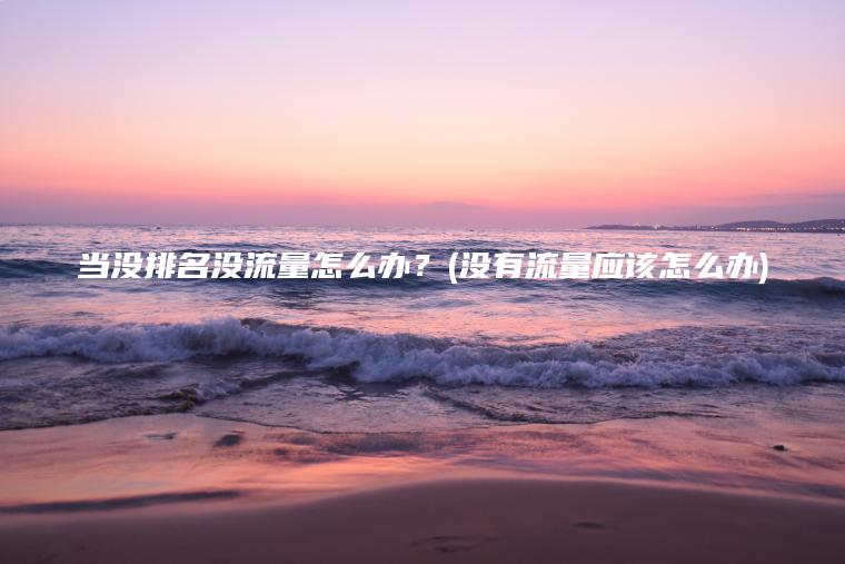 当没排名没流量怎么办？(没有流量应该怎么办)