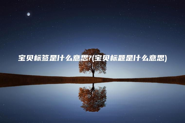 宝贝标签是什么意思?(宝贝标题是什么意思)