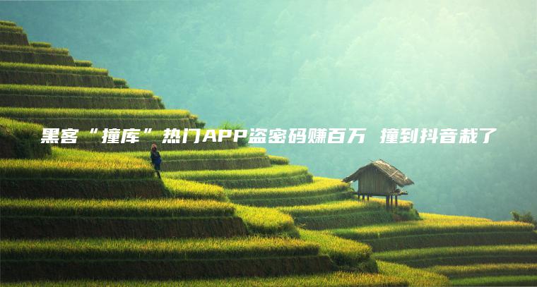 黑客“撞库”热门APP盗密码赚百万 撞到抖音栽了