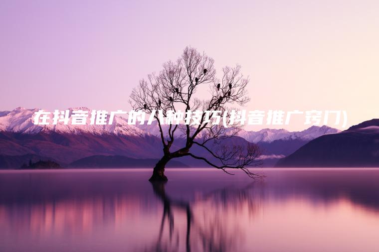 在抖音推广的八种技巧(抖音推广窍门)