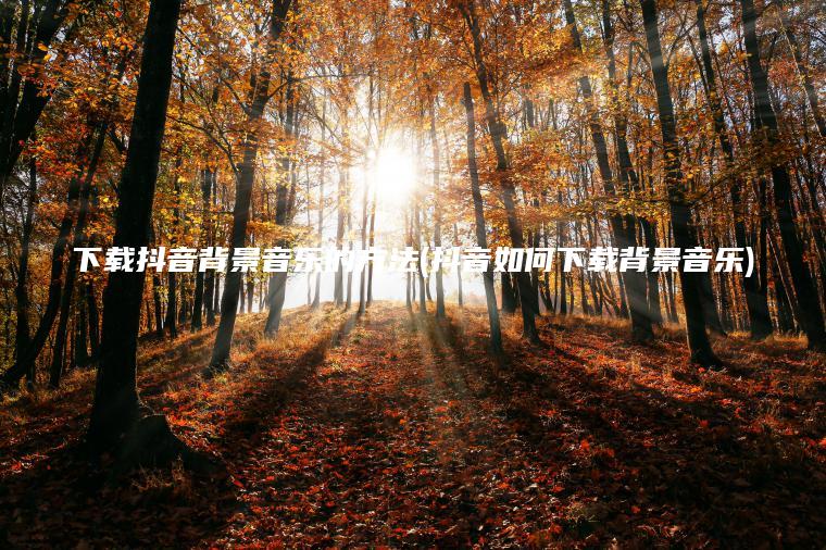 下载抖音背景音乐的方法(抖音如何下载背景音乐)