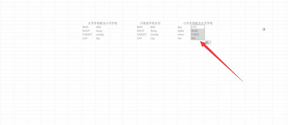 怎么转变excel的英文字母大小写(8)