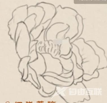 ps国风插画怎么上色？ps国风牡丹绘画教程！