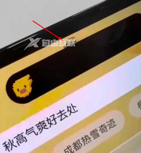 iPhone14灵动岛宠物怎么设置？苹果灵动岛宠物的方法插图3