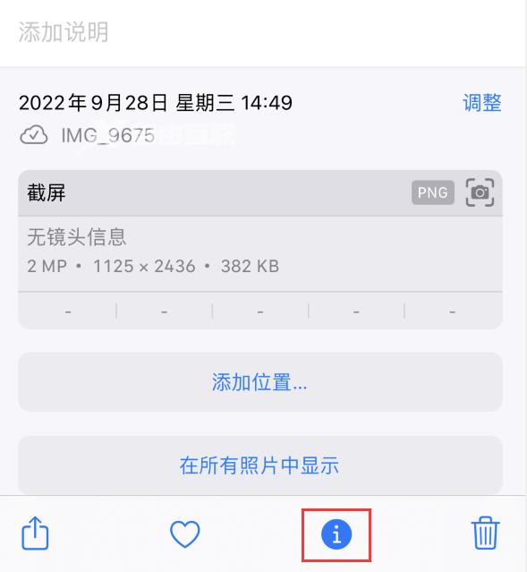 iphone14如何拍照?让拍摄和编辑照片更轻松插图5