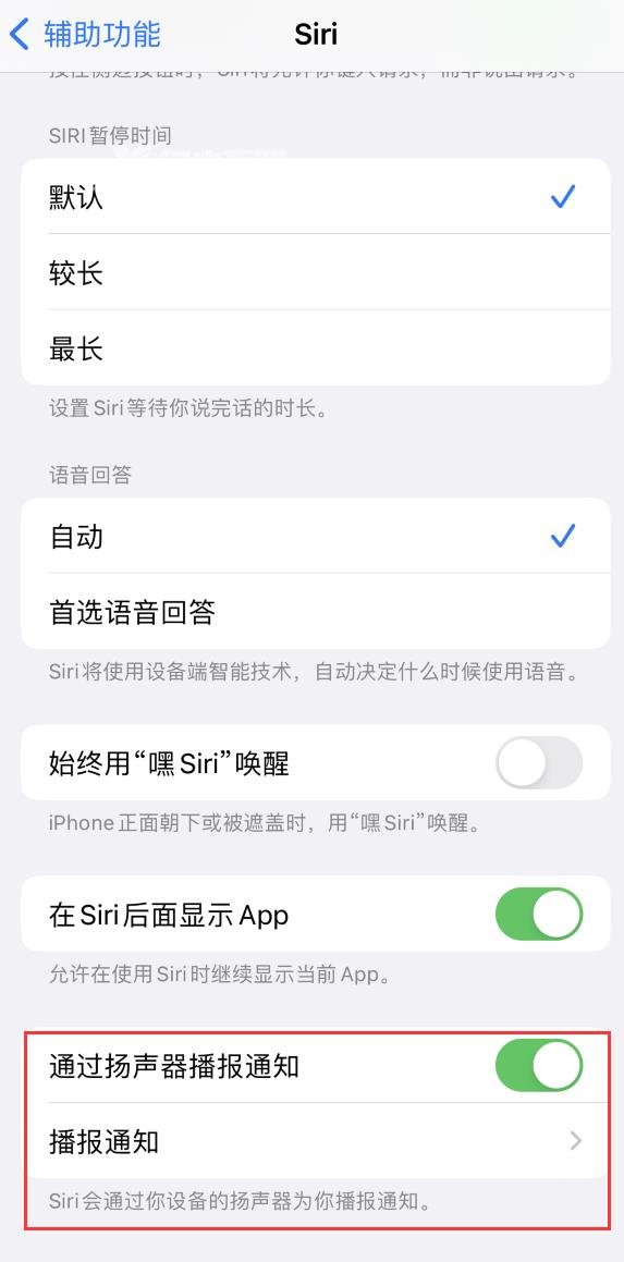 iOS 16 支持让 Siri 通过 iPhone播报通知和播报来电插图3