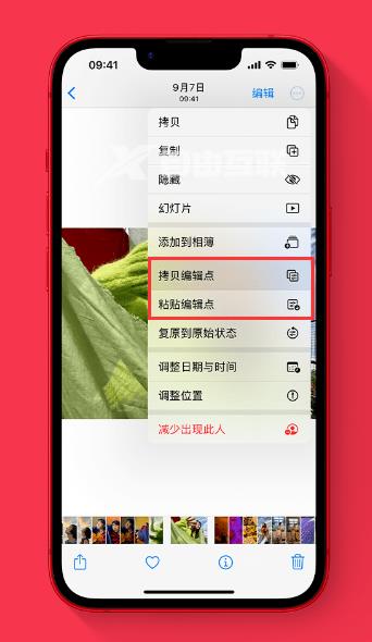 iOS16新增锁屏、一键抠图、实况文本等功能插图7