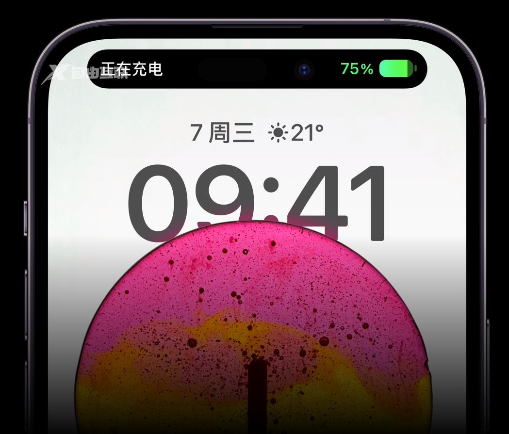 LG 显示开始为苹果 iPhone 14 Pro Max OLED屏幕供货插图1