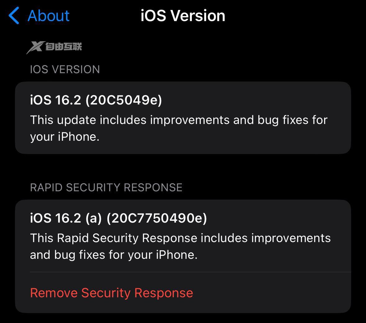 苹果发布快速安全响应更新：适用于更新 iOS 16.2 Beta 的设备插图3