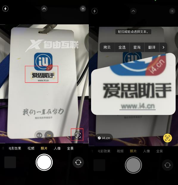 升级iOS 16后如何通过相机翻译文本？插图1