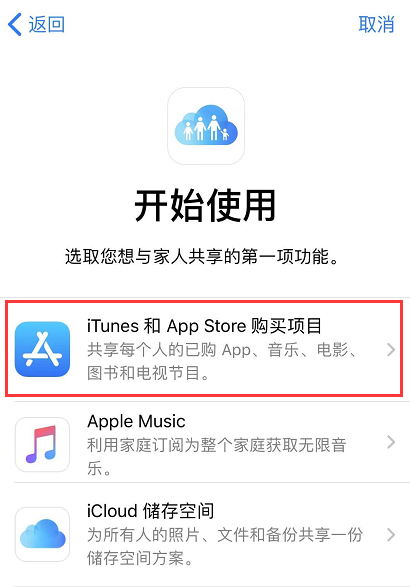 两部 iPhone 互传应用的 4 种方法