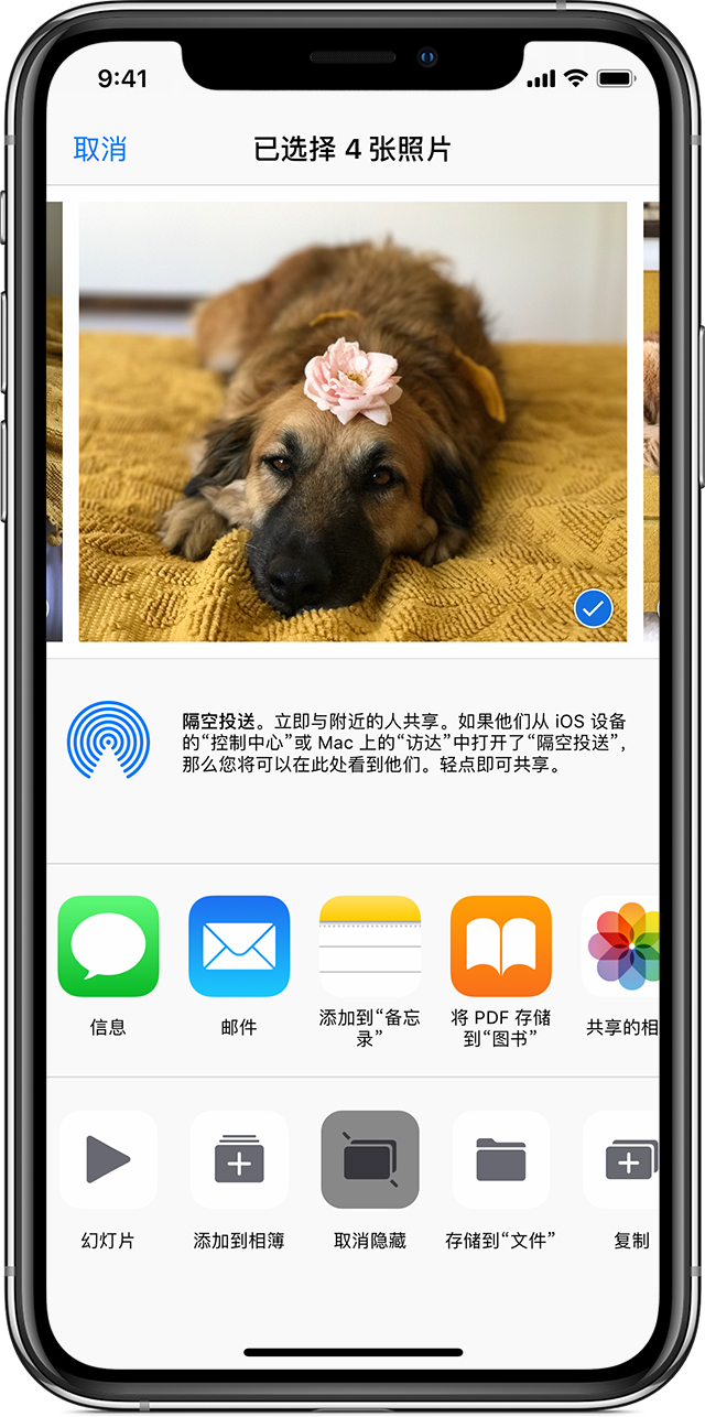 如何找回 iPhone 相册中丢失的照片？