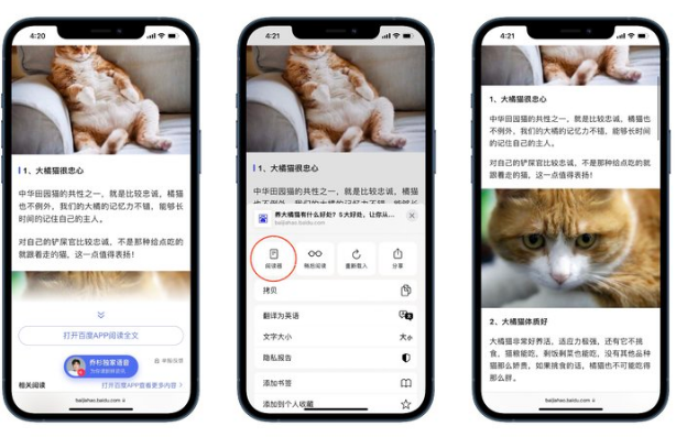 iOS 15中有哪些好用的辅助功能？iOS 15好用辅助功能汇总