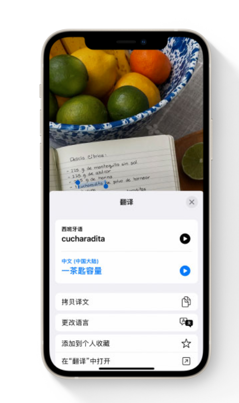 iOS 15 中的“实况文本”功能支持哪些设备？如何使用？