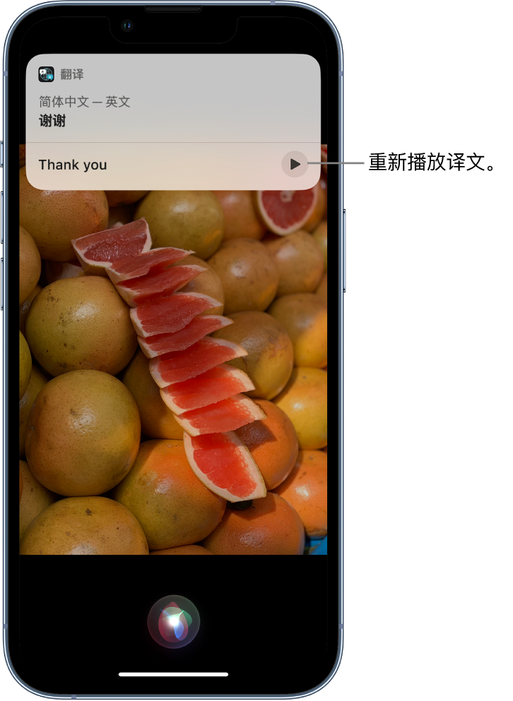 在 iPhone 14 机型中使用 Siri：了解 Siri 能帮你做什么