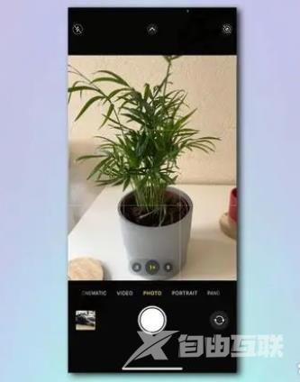 如何使用 iPhone 相机识别植物和花卉？