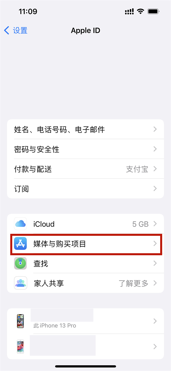 iPhone如何关闭ipad软件同步下载？iPhone禁止ipad同步软件教程一览截图