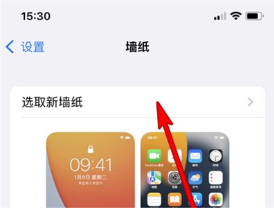 苹果13mini怎样更换壁纸主题?苹果13mini设置壁纸主题教程截图