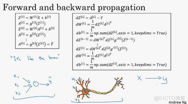 深度学习笔记第一门课​第四周：深层神经网络_反向传播_20