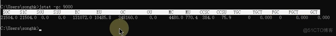 JVM命令之 jstat：查看JVM统计信息_java_13