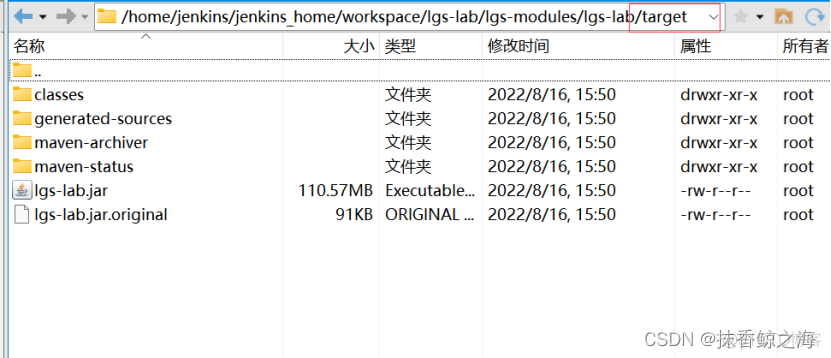 Jenkins+GitLab远程部署SpringCloud微服务_spring cloud_33