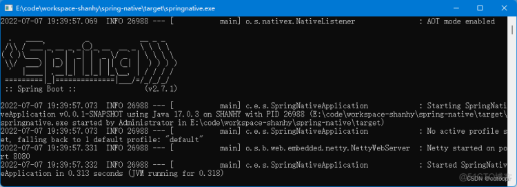 SpringNative GraalVM 打包 SpringBoot 为本地应用 exe 程序_spring原生_13