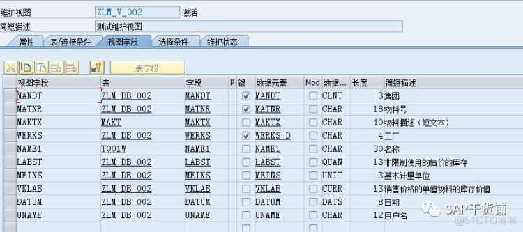 表维护视图DEMO（2）：动态控制显示列_数据